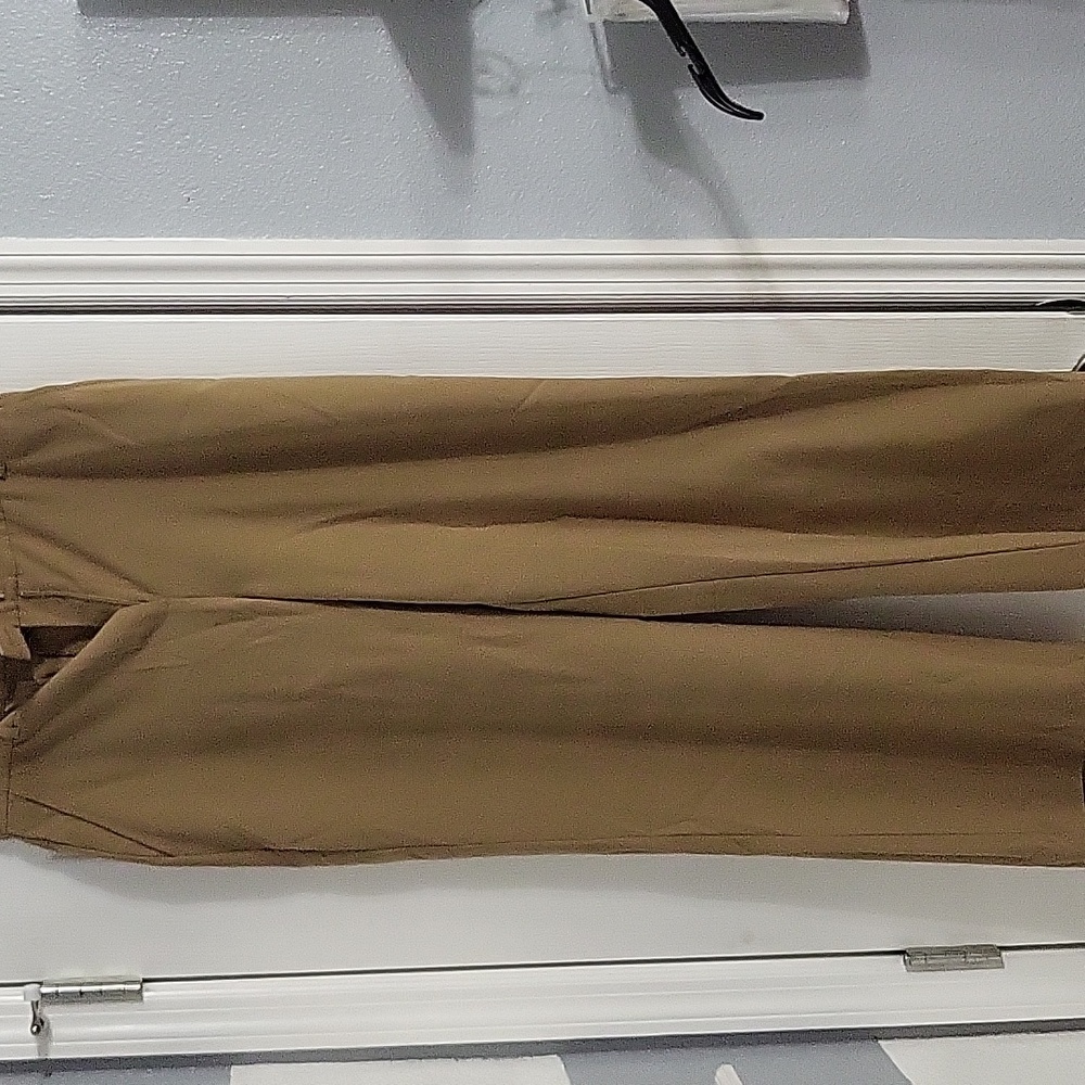 Dress pants